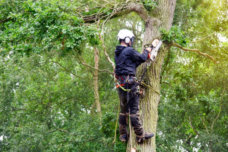 Arborists and Tree Services